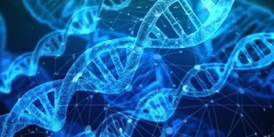 参与dna修复的蛋白质可能有助于抑制癌症 威正翔禹生物