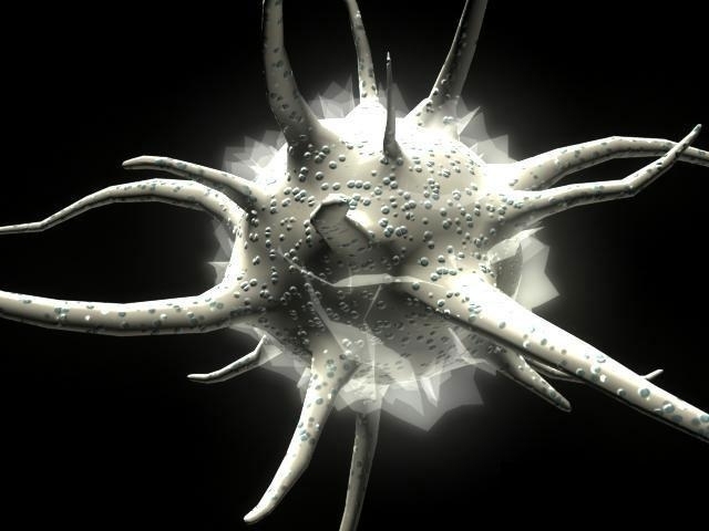 pro-inflammatory cytokines and prostaglandins induce maturation