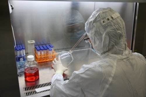 Vero 细胞无血清细胞培养基的发展