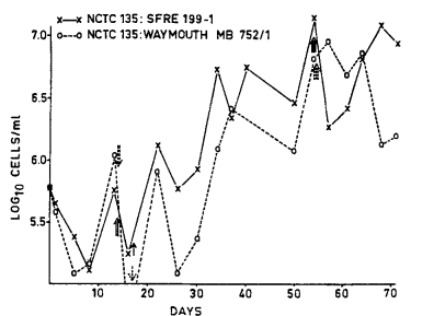 Vero 细胞无血清细胞培养基的发展